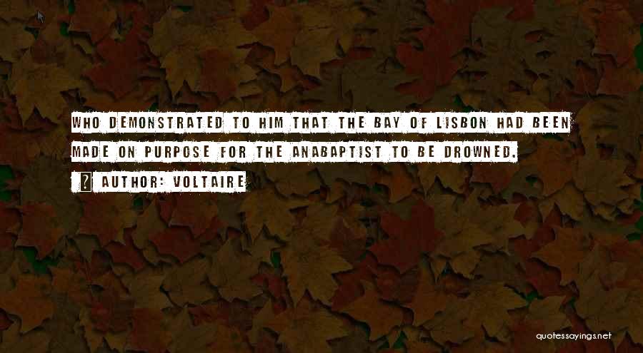 Lisbon Quotes By Voltaire