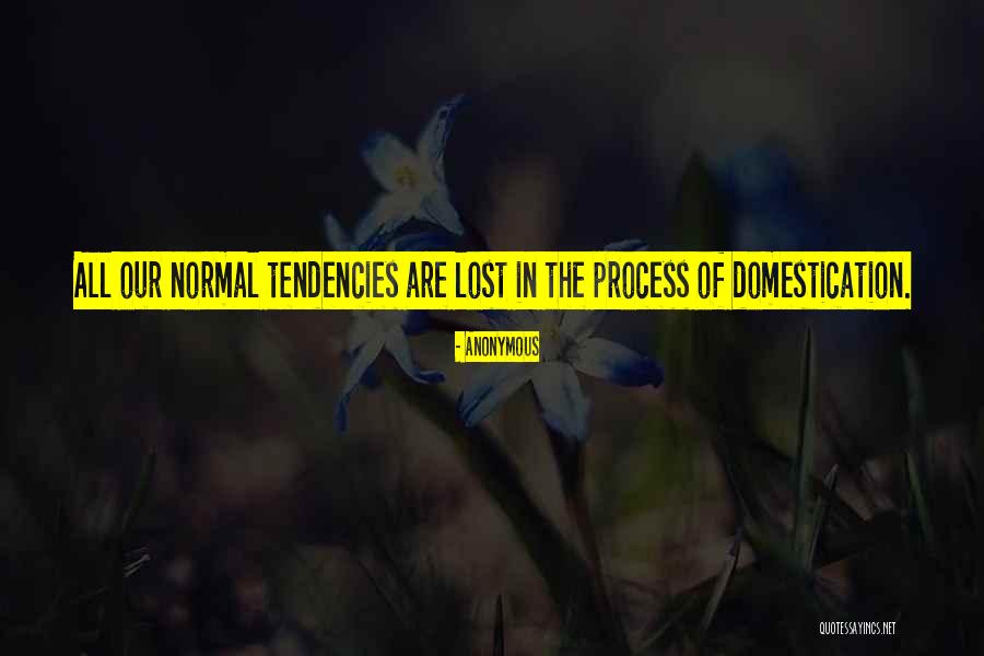 Lisellemade Quotes By Anonymous Lisellemade Quotes By Anonymous