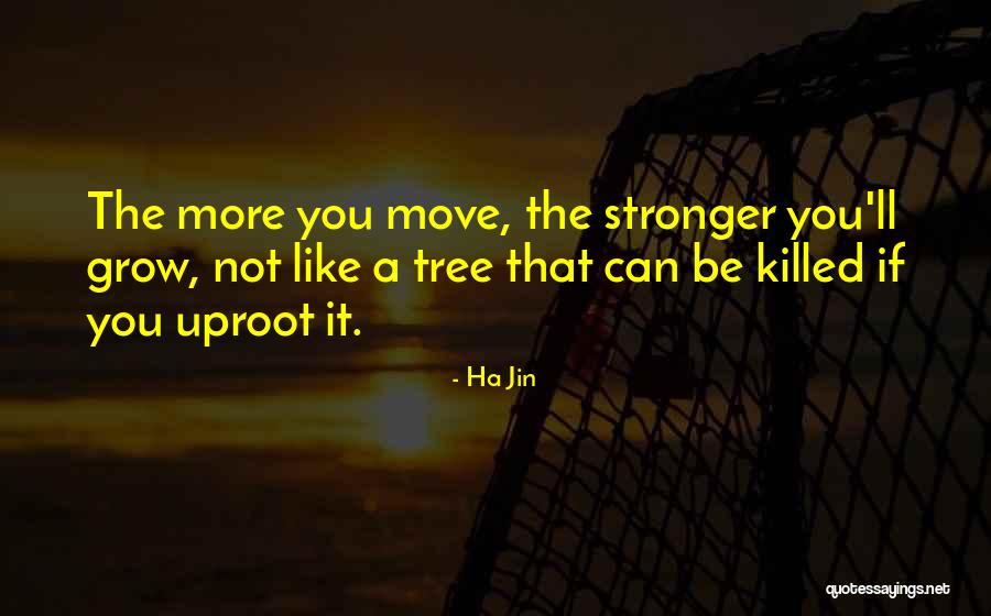 Lisetta Shah Quotes By Ha Jin Lisetta Shah Quotes By Ha Jin
