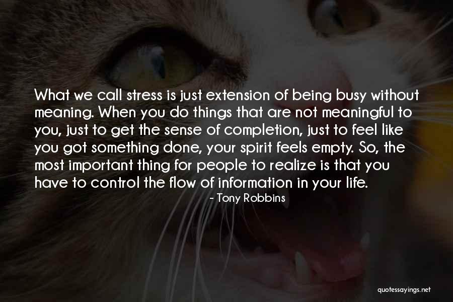 Lisetta Shah Quotes By Tony Robbins Lisetta Shah Quotes By Tony Robbins
