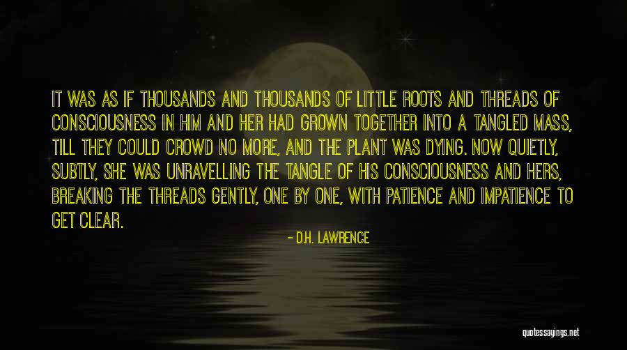Lisette Pants Quotes By D.H. Lawrence Lisette Pants Quotes By D.H. Lawrence
