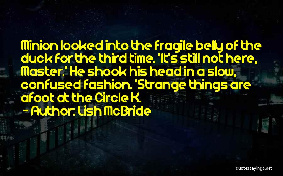 Lish McBride Quotes 725381