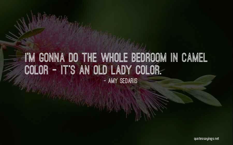 Lishedbuilders Quotes By Amy Sedaris Lishedbuilders Quotes By Amy Sedaris