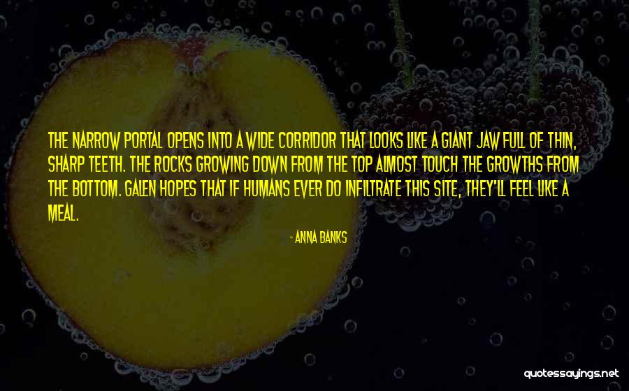 Lisiak Andrzej Quotes By Anna Banks Lisiak Andrzej Quotes By Anna Banks
