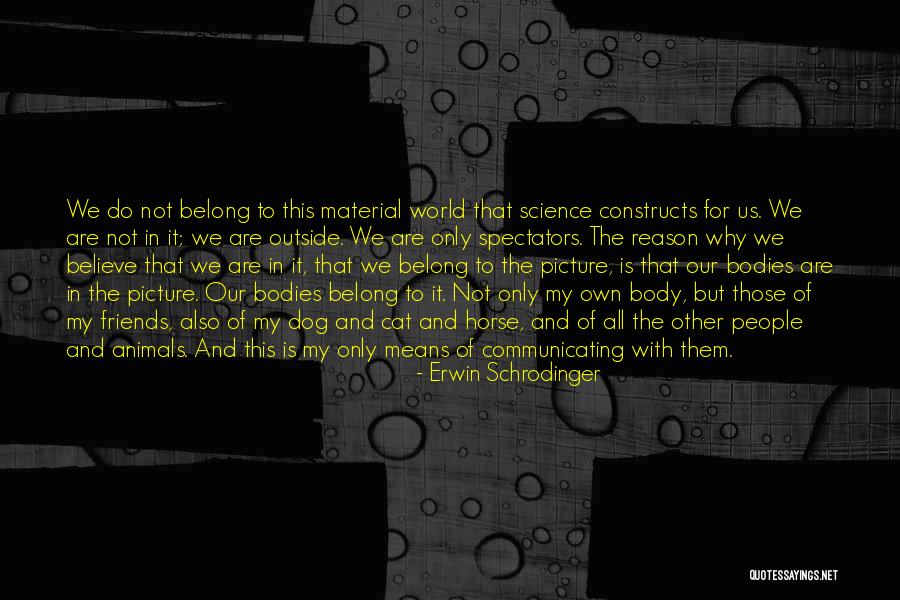 Lisica Bojanka Quotes By Erwin Schrodinger Lisica Bojanka Quotes By Erwin Schrodinger