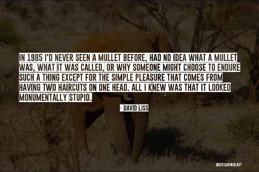 Liss Quotes By David Liss Liss Quotes By David Liss
