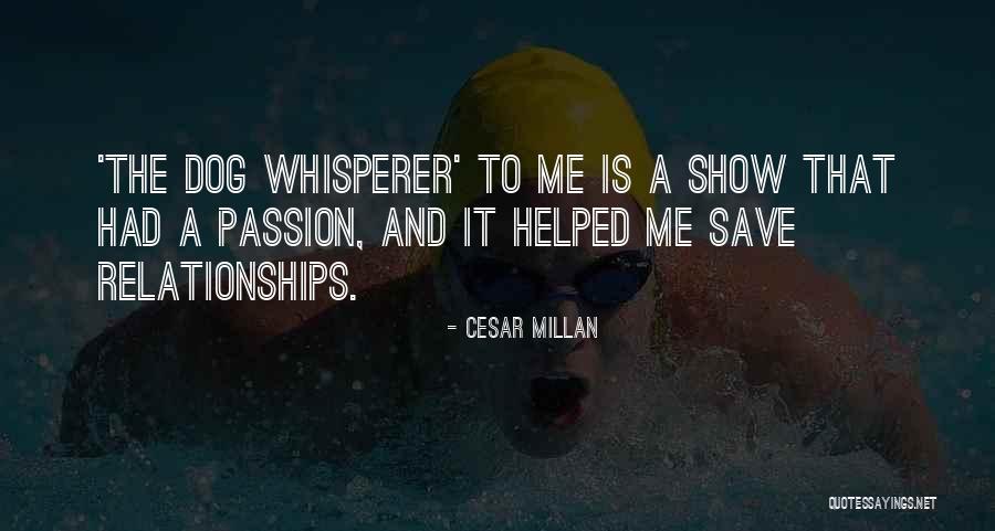 List Cutdim Quotes By Cesar Millan List Cutdim Quotes By Cesar Millan