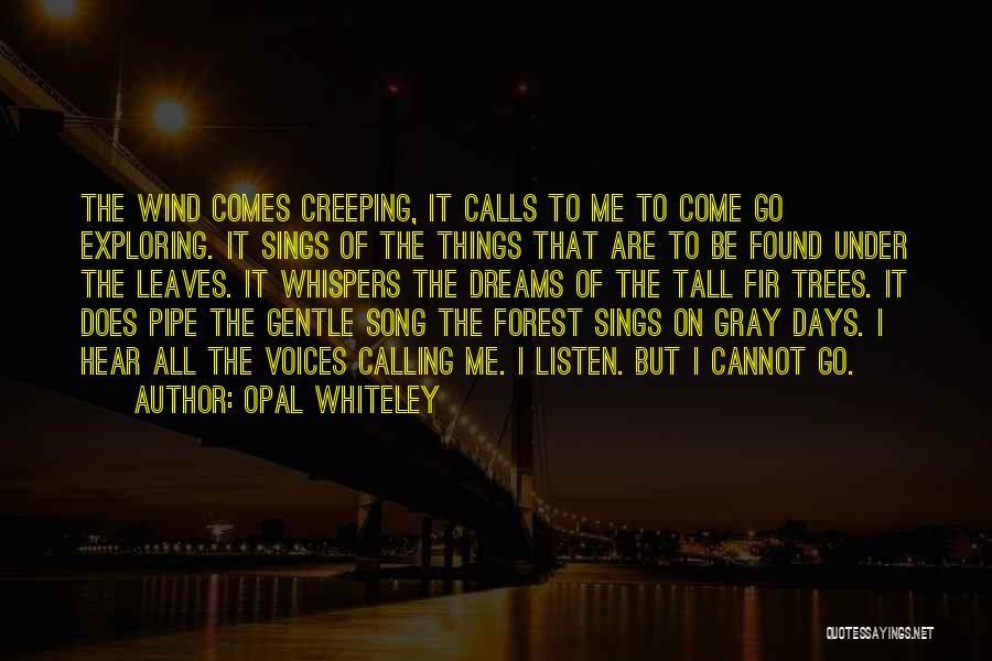 Listen Song Quotes By Opal Whiteley