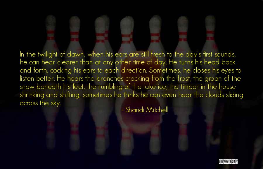 Listen The First Time Quotes By Shandi Mitchell