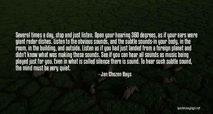 Listen To The Sound Of Silence Quotes By Jan Chozen Bays