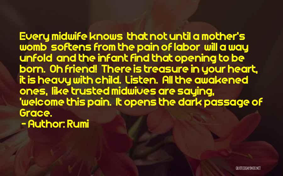 Listen To Your Mother Quotes By Rumi