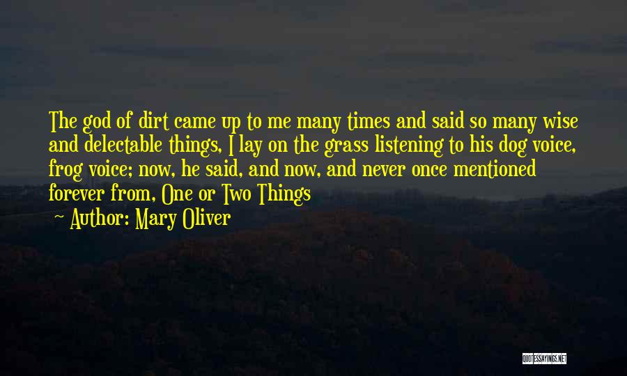 Listening To God's Voice Quotes By Mary Oliver