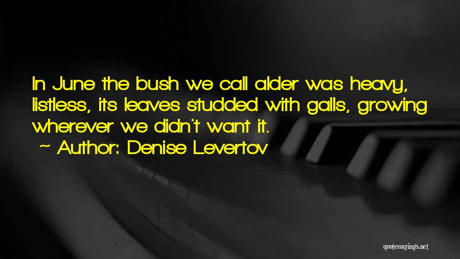 Listless Quotes By Denise Levertov