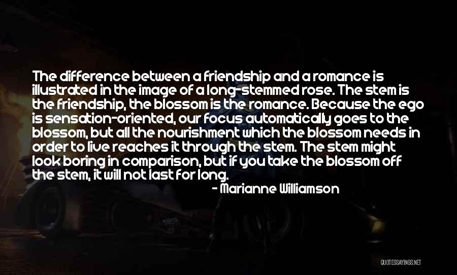Liston Vs Clay Quotes By Marianne Williamson Liston Vs Clay Quotes By Marianne Williamson