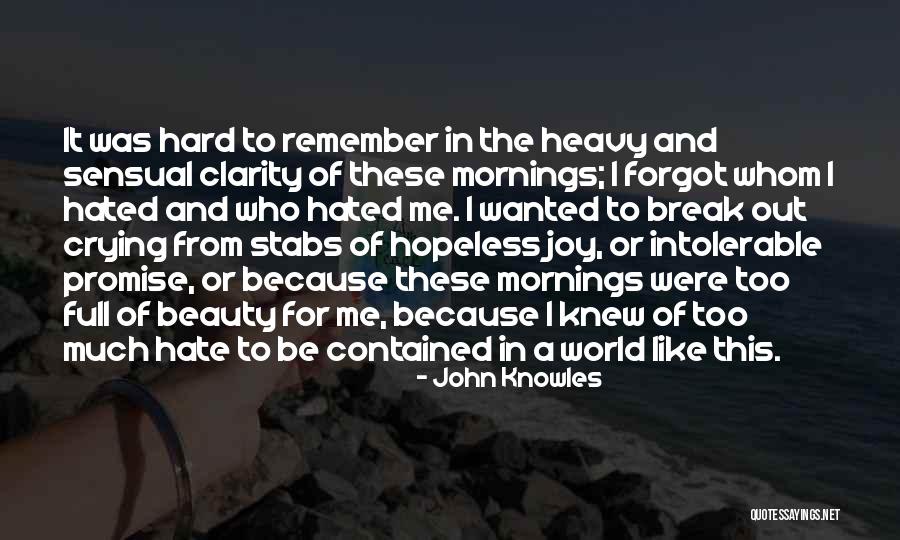 Listservs For Educators Quotes By John Knowles Listservs For Educators Quotes By John Knowles