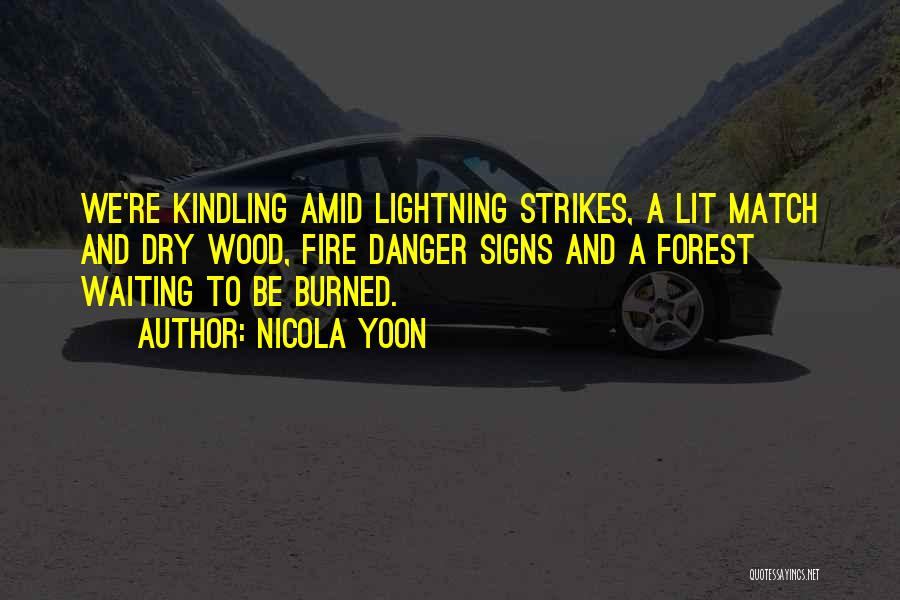 Lit A Fire Quotes By Nicola Yoon