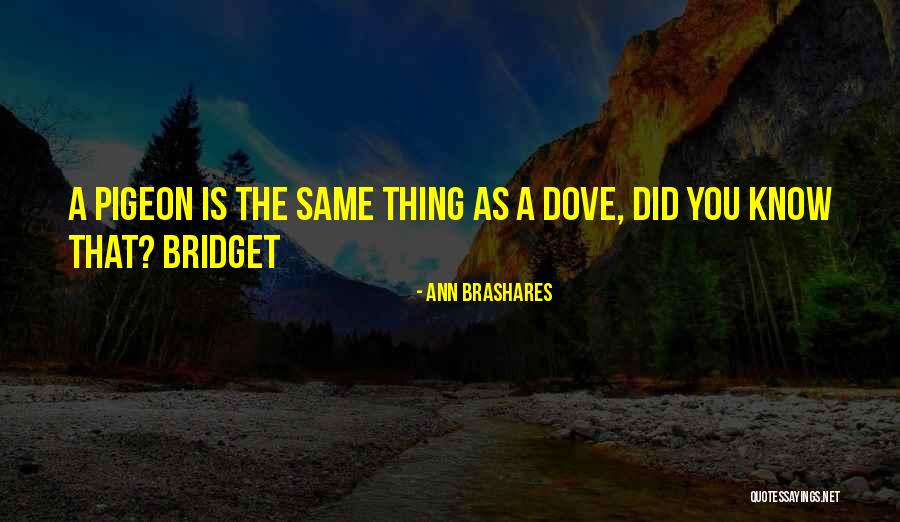 Litchy Kearney Quotes By Ann Brashares Litchy Kearney Quotes By Ann Brashares