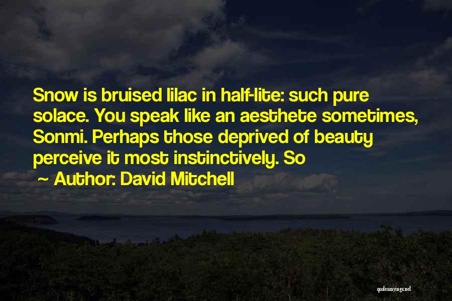 Lite Quotes By David Mitchell