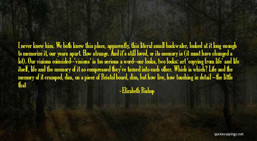 Literal Life Quotes By Elizabeth Bishop