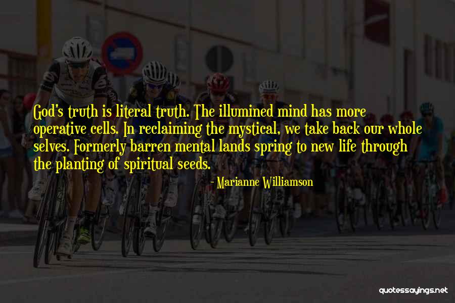 Literal Life Quotes By Marianne Williamson