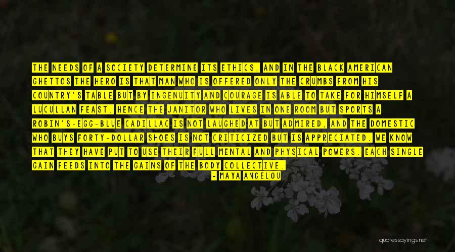 Literalizing Quotes By Maya Angelou Literalizing Quotes By Maya Angelou