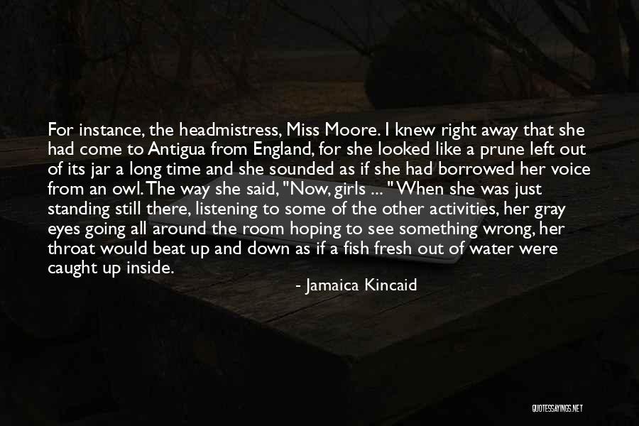Literary Girls Quotes By Jamaica Kincaid Literary Girls Quotes By Jamaica Kincaid
