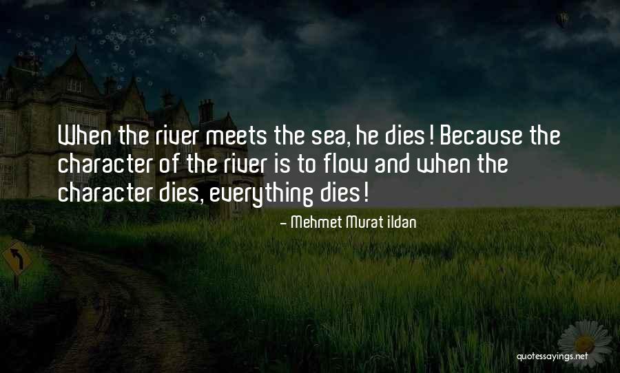 Literature And Characters Quotes By Mehmet Murat Ildan