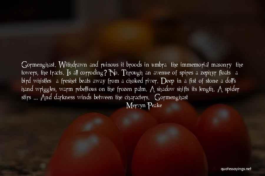 Literature And Characters Quotes By Mervyn Peake