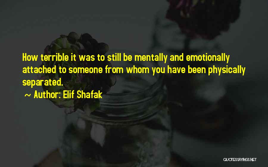 Literature And Love Quotes By Elif Shafak