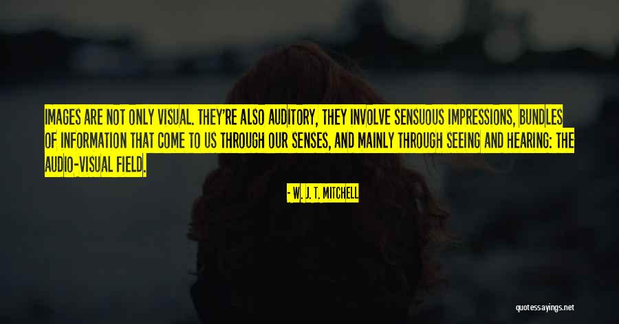 Literature From Famous Authors Quotes By W. J. T. Mitchell Literature From Famous Authors Quotes By W. J. T. Mitchell