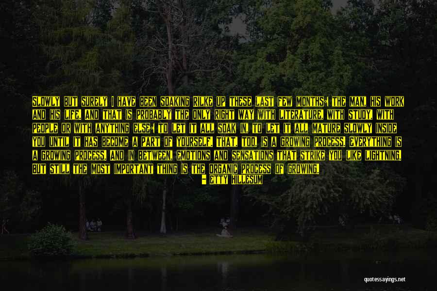 Literature Is Important Quotes By Etty Hillesum Literature Is Important Quotes By Etty Hillesum