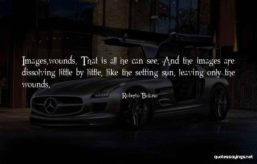 Literature Theme Quotes By Roberto Bolano Literature Theme Quotes By Roberto Bolano