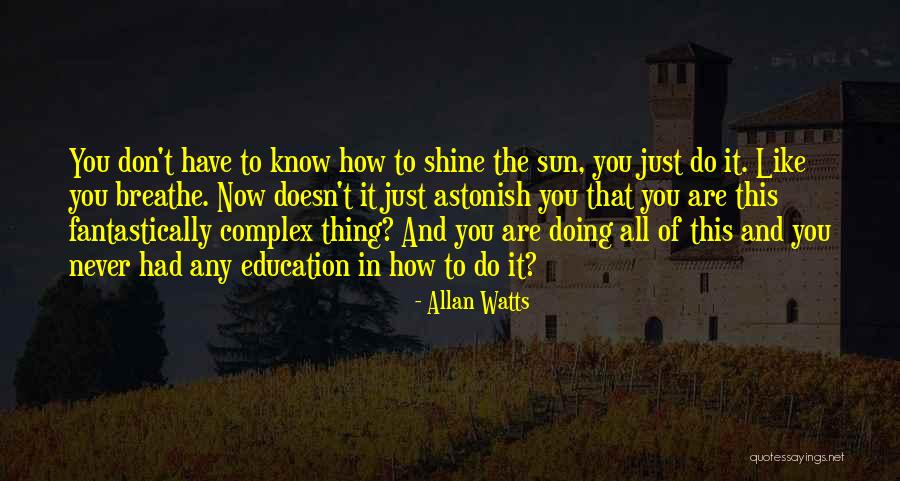 Litigant Synonym Quotes By Allan Watts Litigant Synonym Quotes By Allan Watts