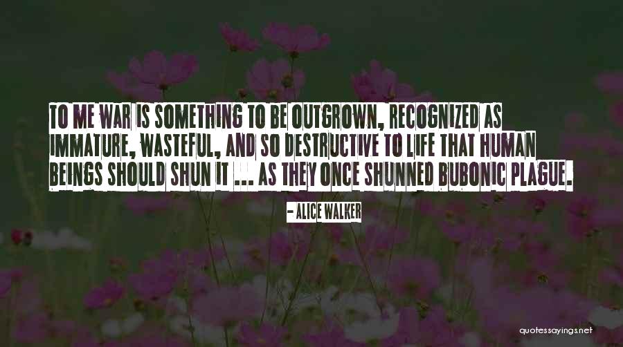 Litman Excavating Quotes By Alice Walker Litman Excavating Quotes By Alice Walker