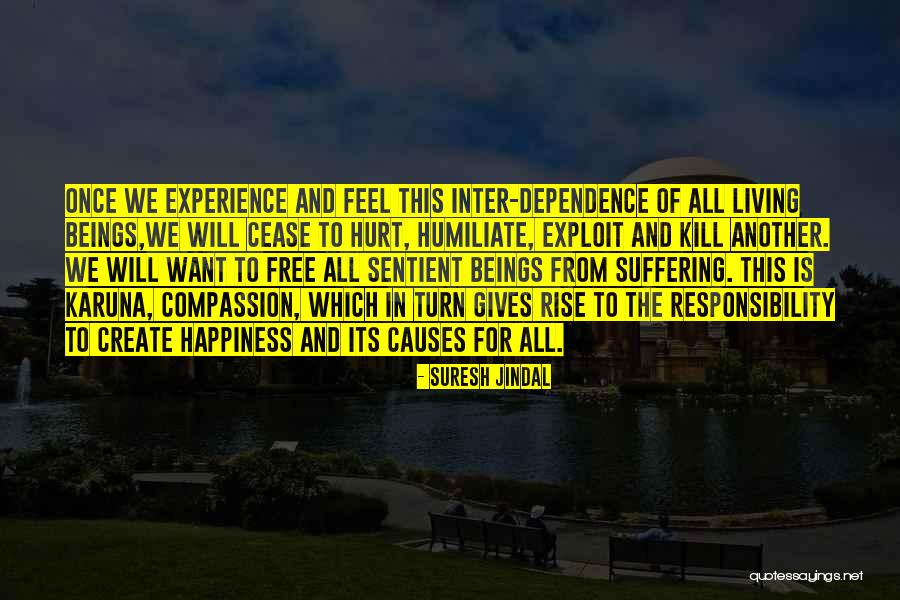 Litost X Quotes By Suresh Jindal Litost X Quotes By Suresh Jindal