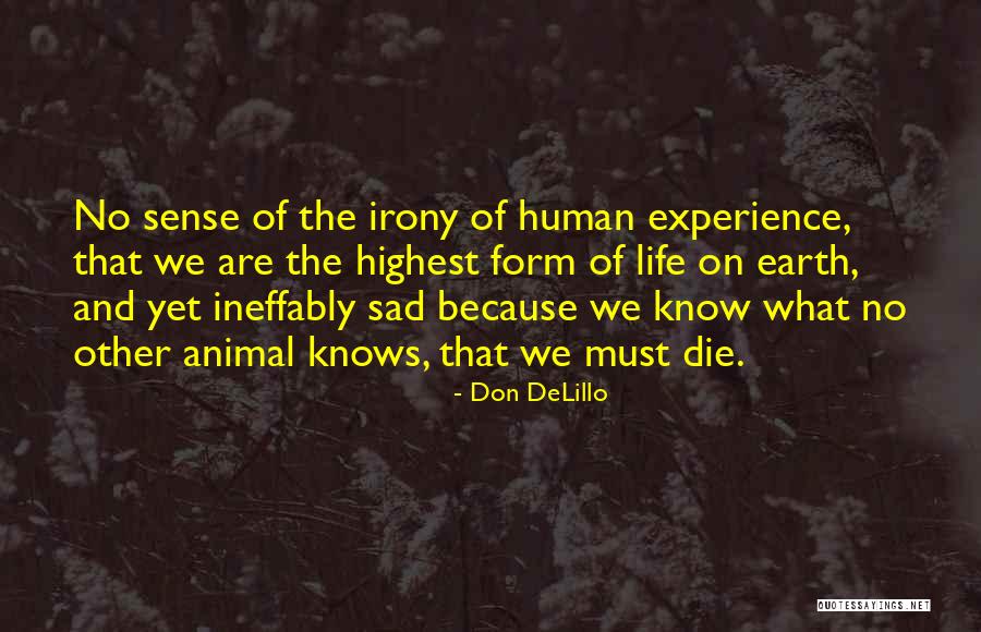 Litsas Center Quotes By Don DeLillo Litsas Center Quotes By Don DeLillo