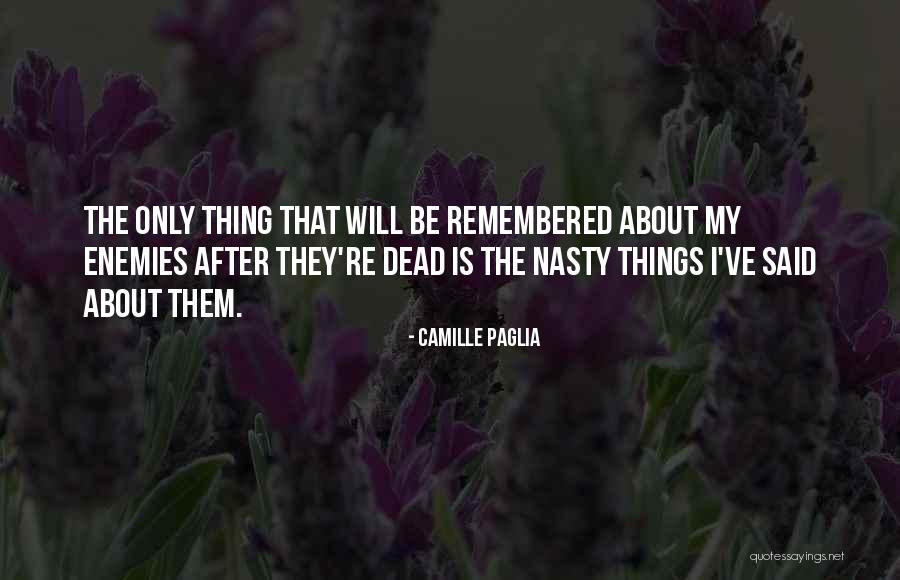 Litt Raire D Finition Quotes By Camille Paglia Litt Raire D Finition Quotes By Camille Paglia