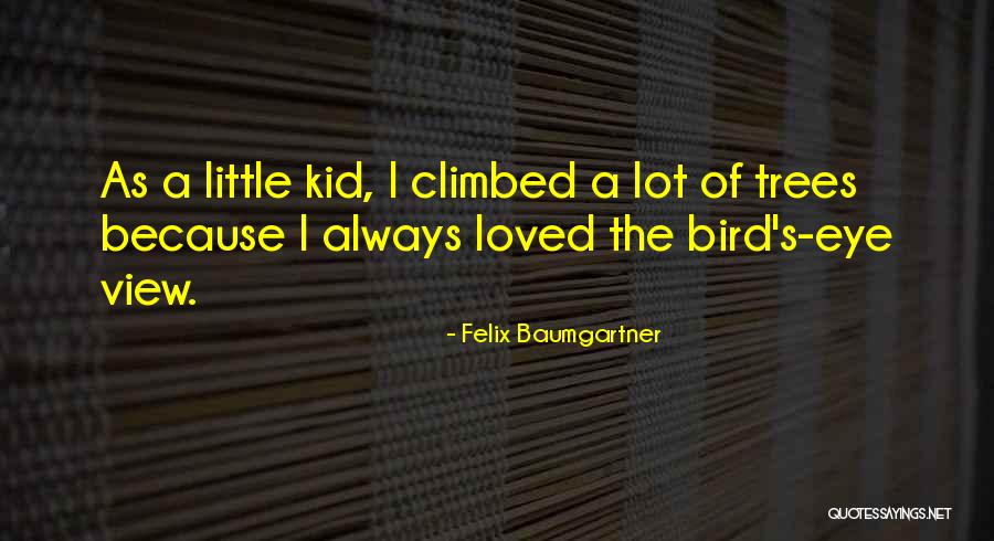 Little Bird Quotes By Felix Baumgartner Little Bird Quotes By Felix Baumgartner