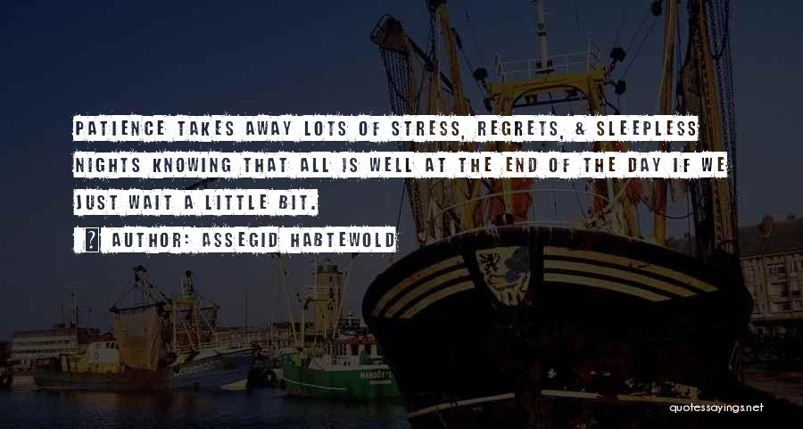 Little Bit Quotes By Assegid Habtewold