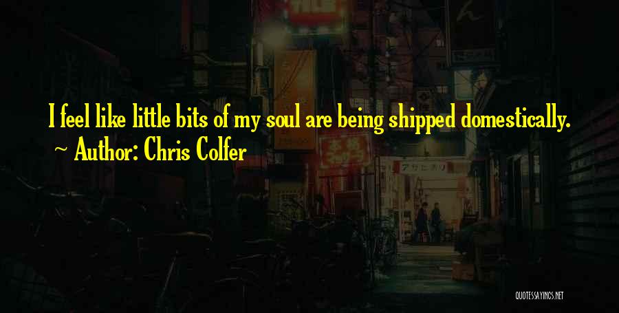 Little Bits Quotes By Chris Colfer