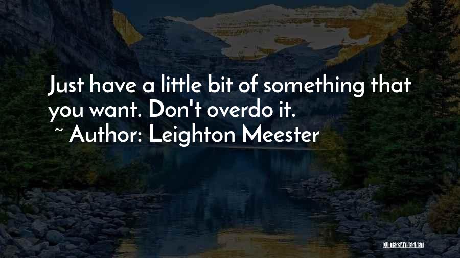 Little Bits Quotes By Leighton Meester