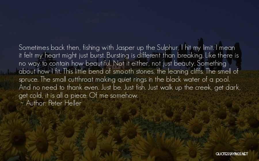 Little Black Fish Quotes By Peter Heller