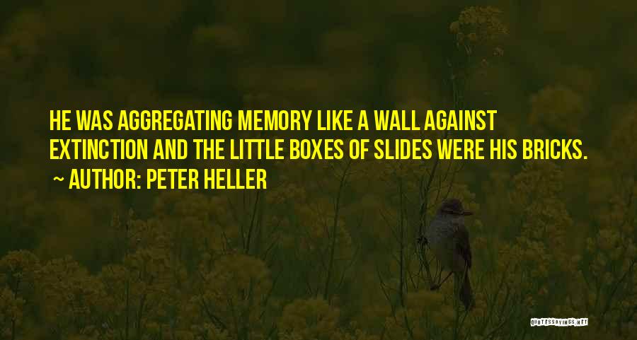 Little Boxes Quotes By Peter Heller