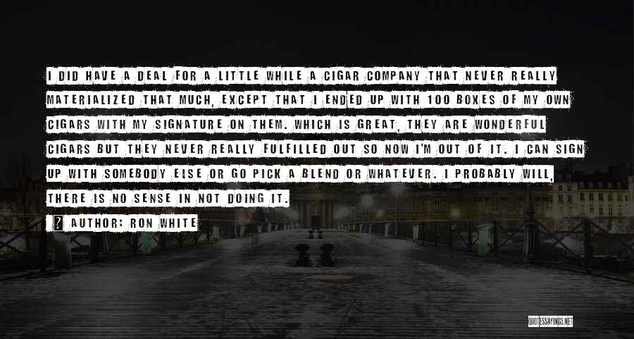 Little Boxes Quotes By Ron White