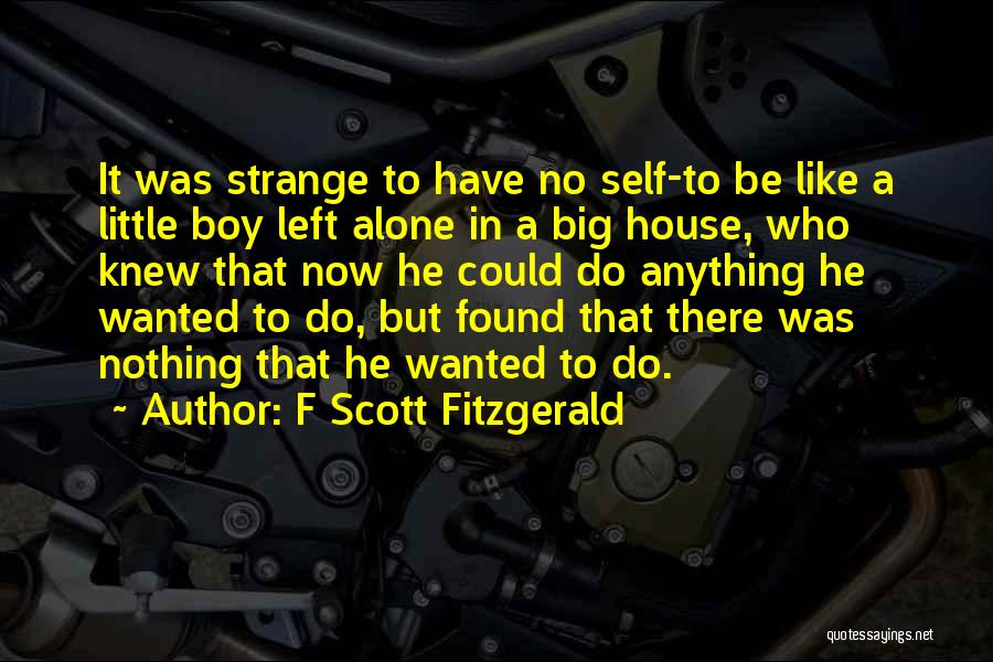 Little Boy Big Boy Quotes By F Scott Fitzgerald