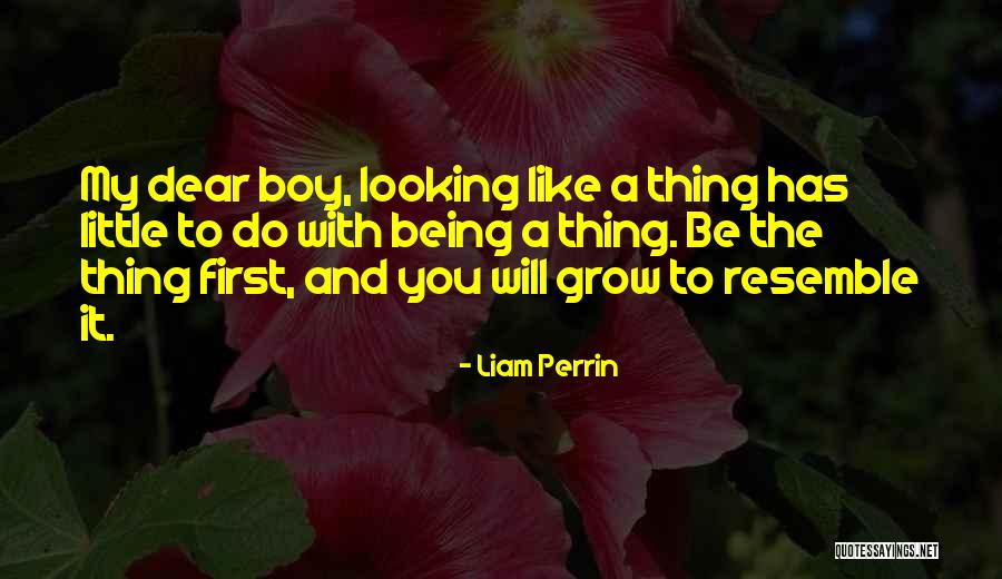 Little Boy Dreams Quotes By Liam Perrin