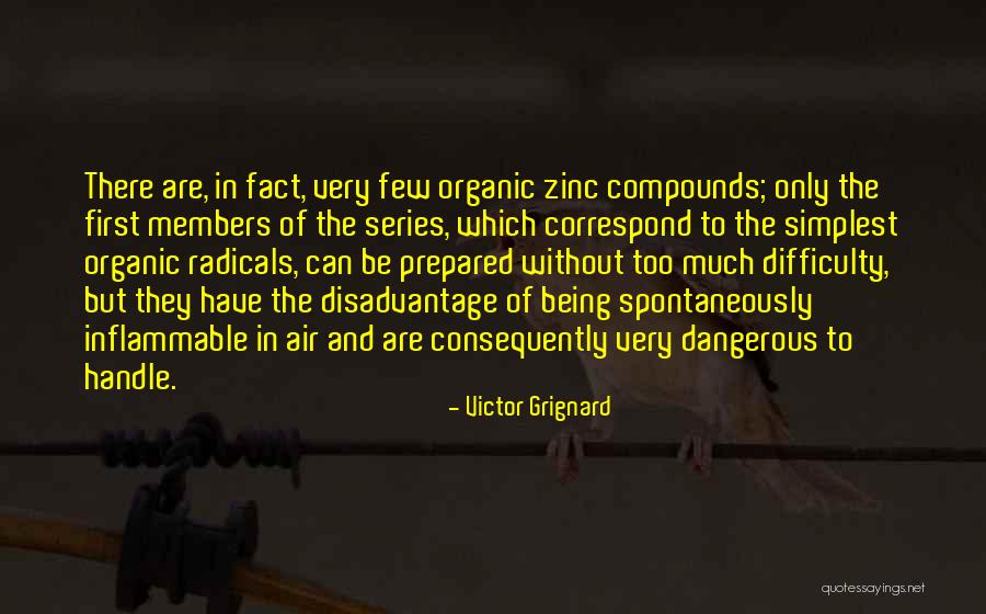 Little Boy Dreams Quotes By Victor Grignard