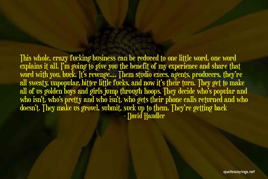 Little Boys Quotes By David Handler Little Boys Quotes By David Handler