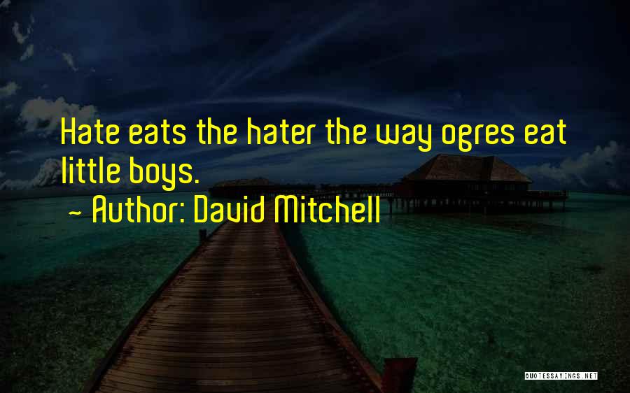 Little Boys Quotes By David Mitchell