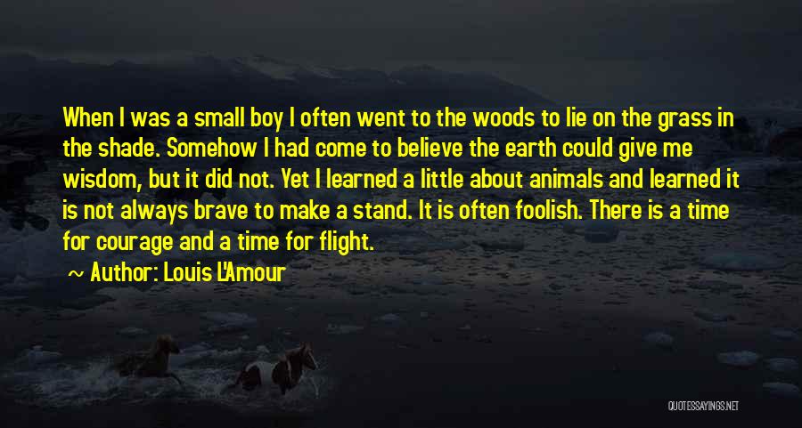 Little Boys Quotes By Louis L'Amour